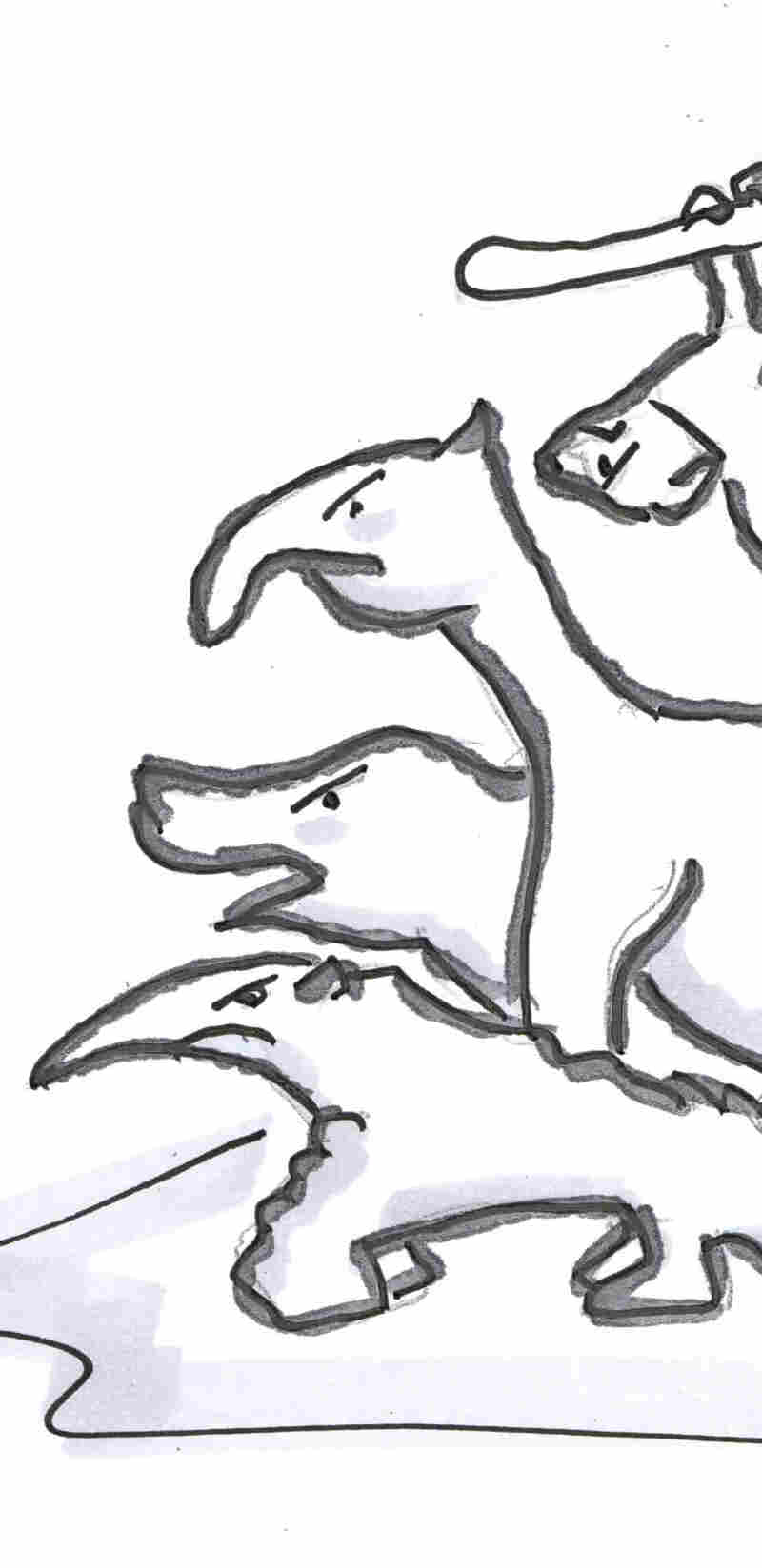 Southern animals