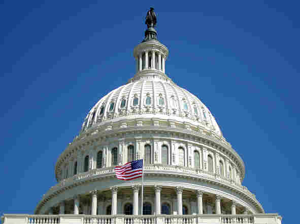 The dome of the U.S. Capitol is pictured in Washington, D.C.