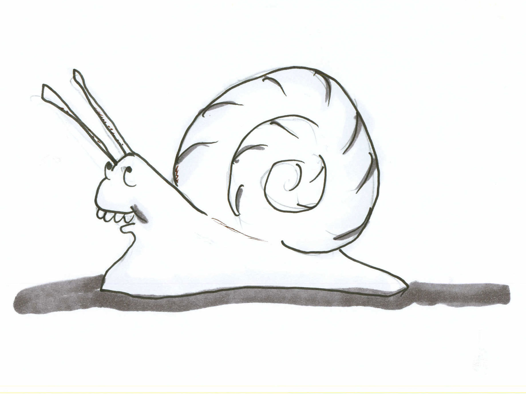 Why Dentists Should Fear Snails NCPR News