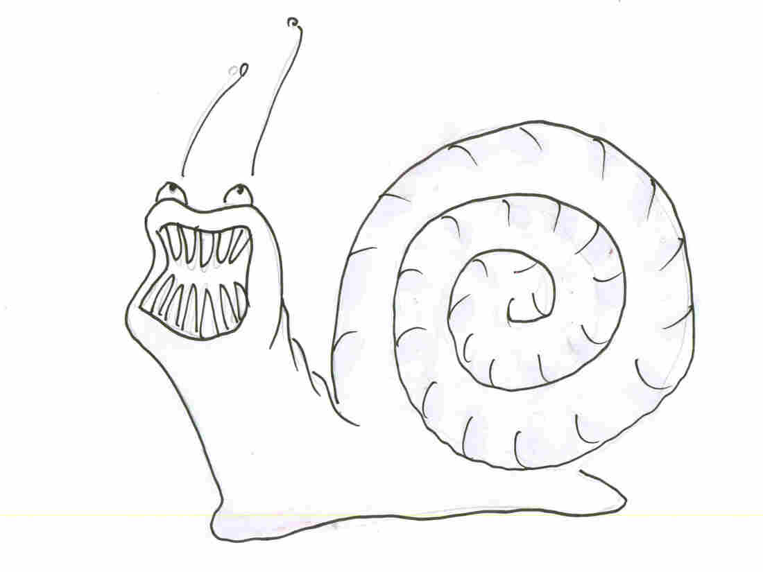 Snail 2