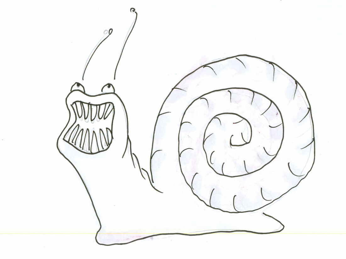 Why Dentists Should Fear Snails Krulwich Wonders... NPR