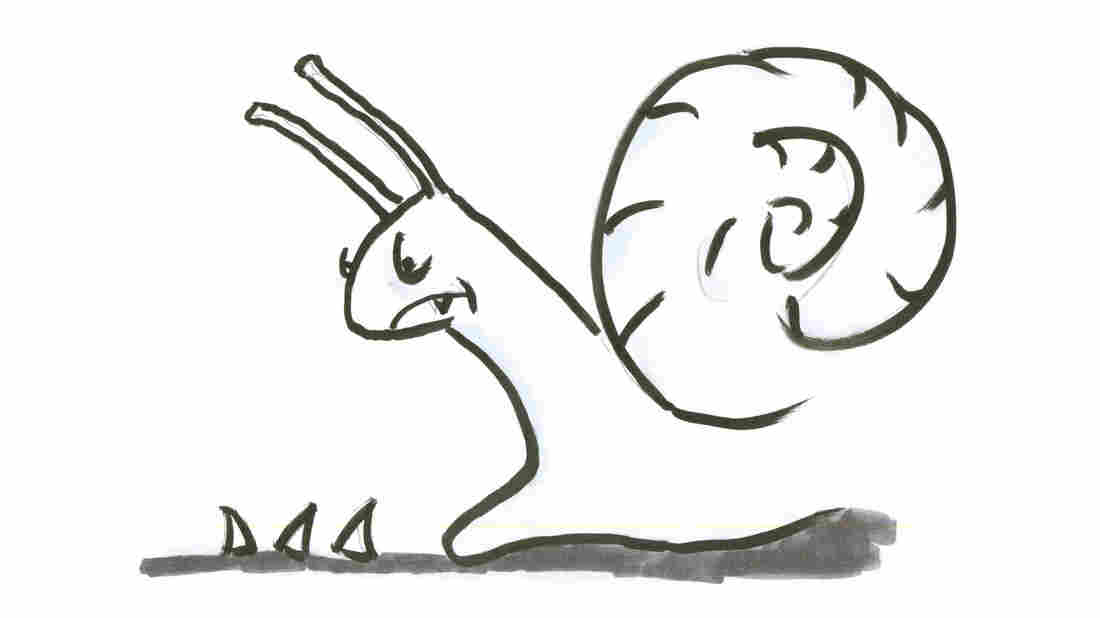 Snail 4