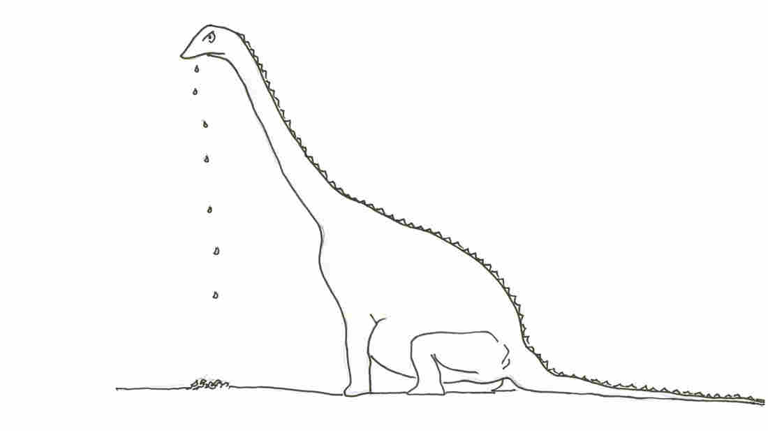 Snail 5