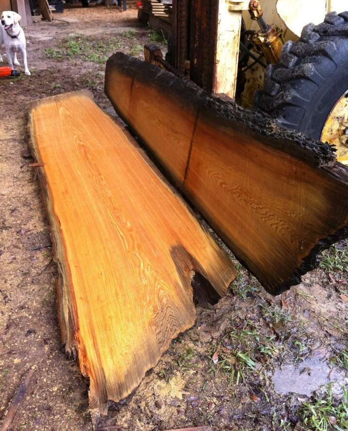 Dredging South Carolina S Rivers For Long Forgotten Timber Npr Enlarge This Image