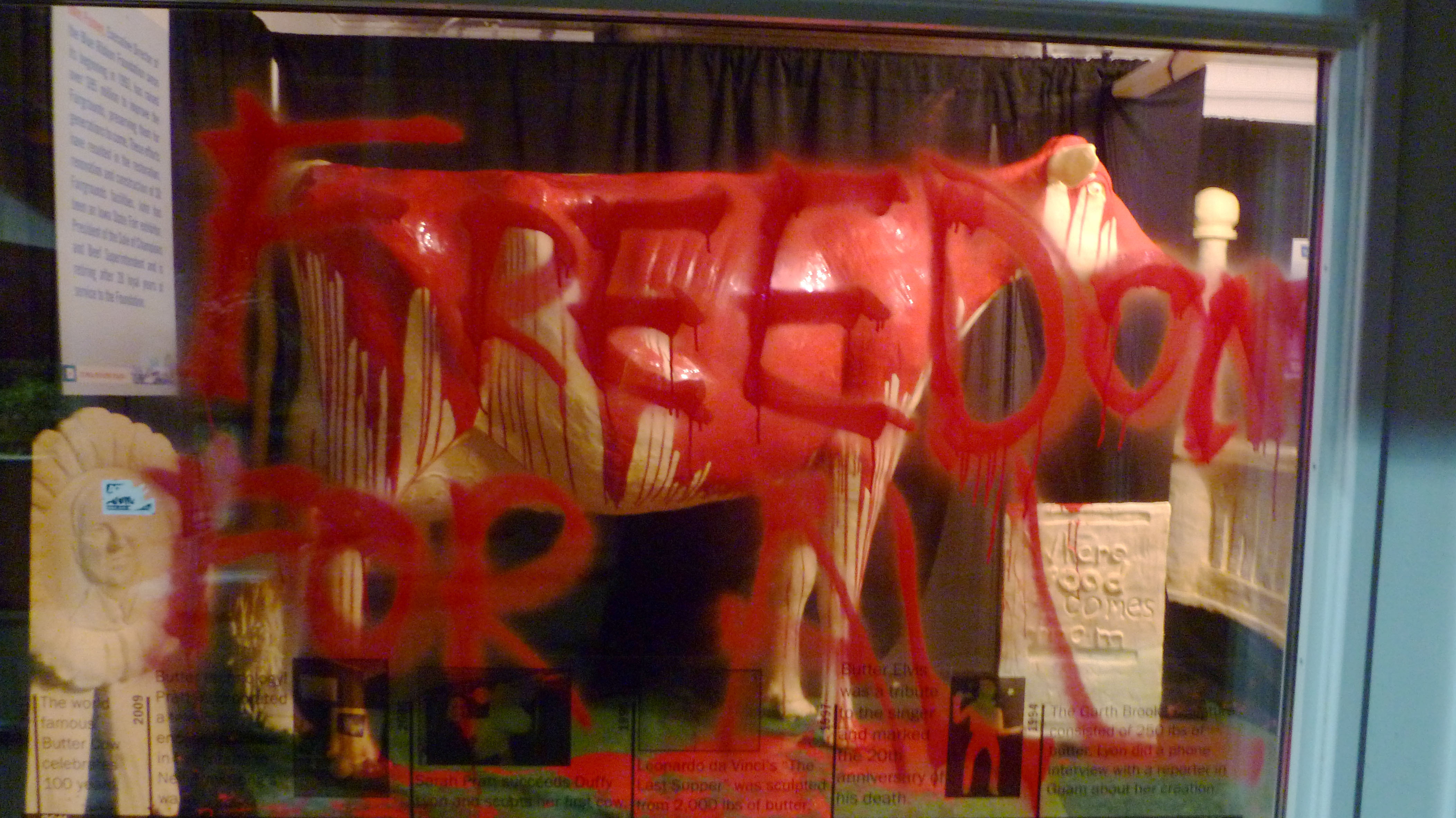 Seaweedeating cattle may be our best weapon to fight