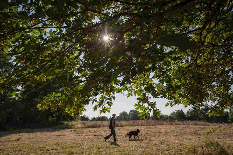Vesely and Sharpy take a walk to calm her down after her training session.