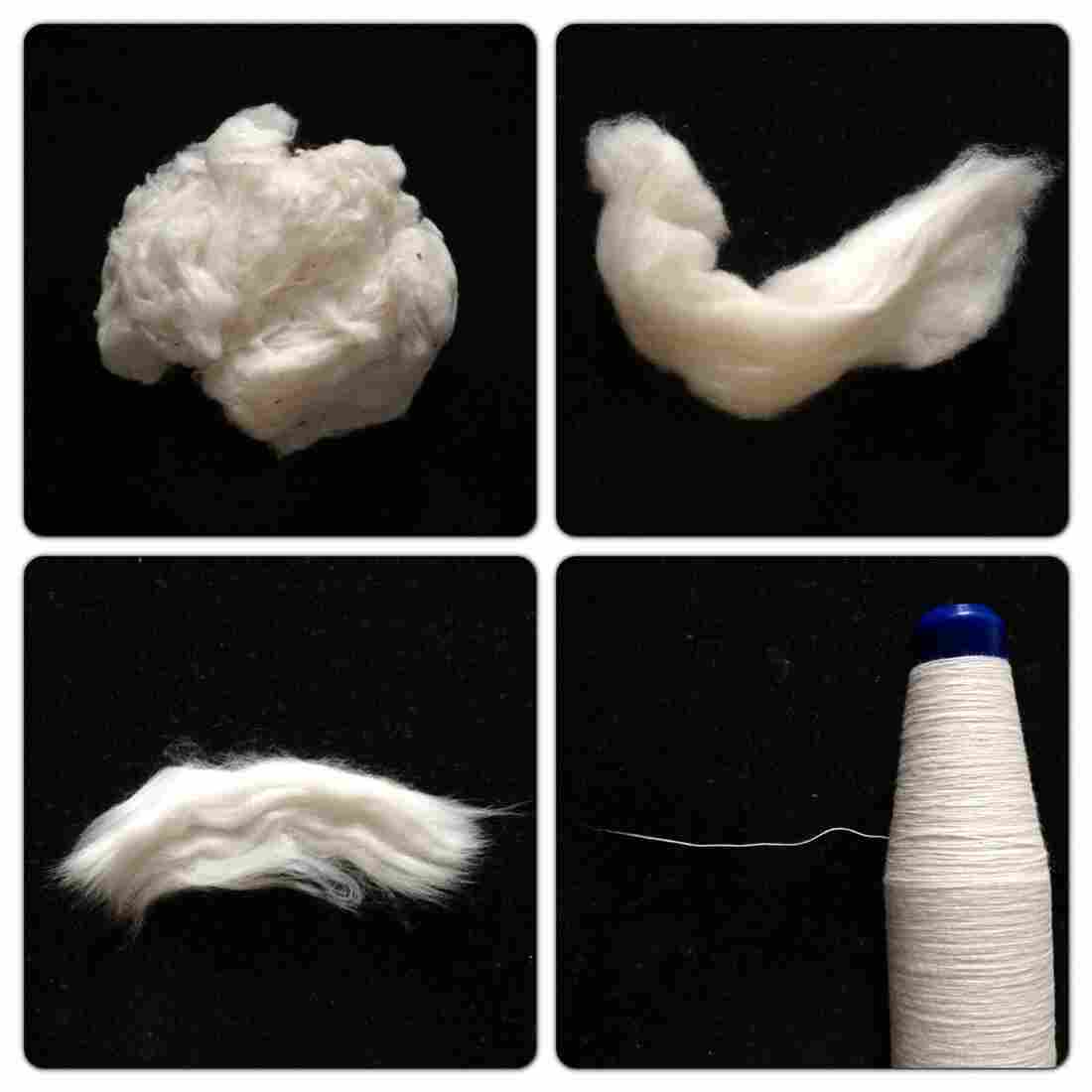 From raw cotton to yarn, in four steps