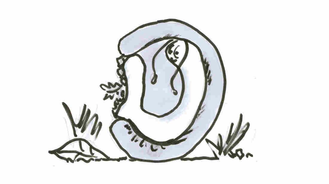 Snail 2