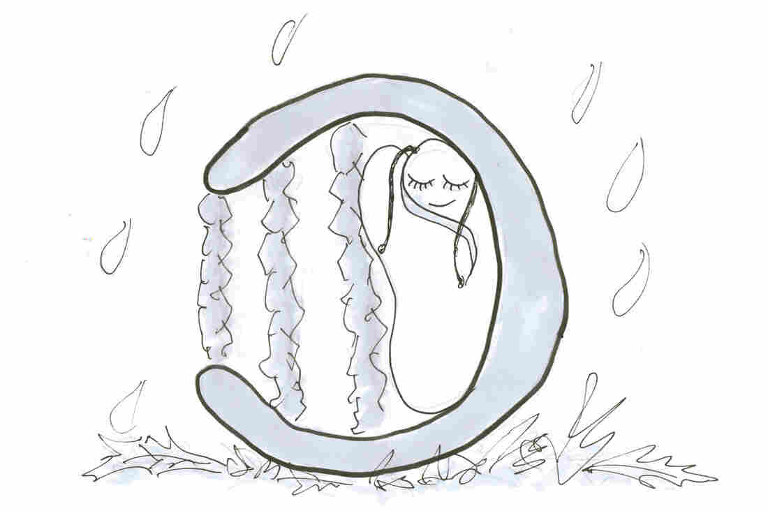 Snail 4
