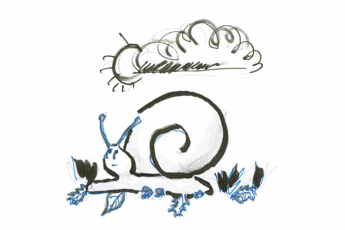 Snail 1
