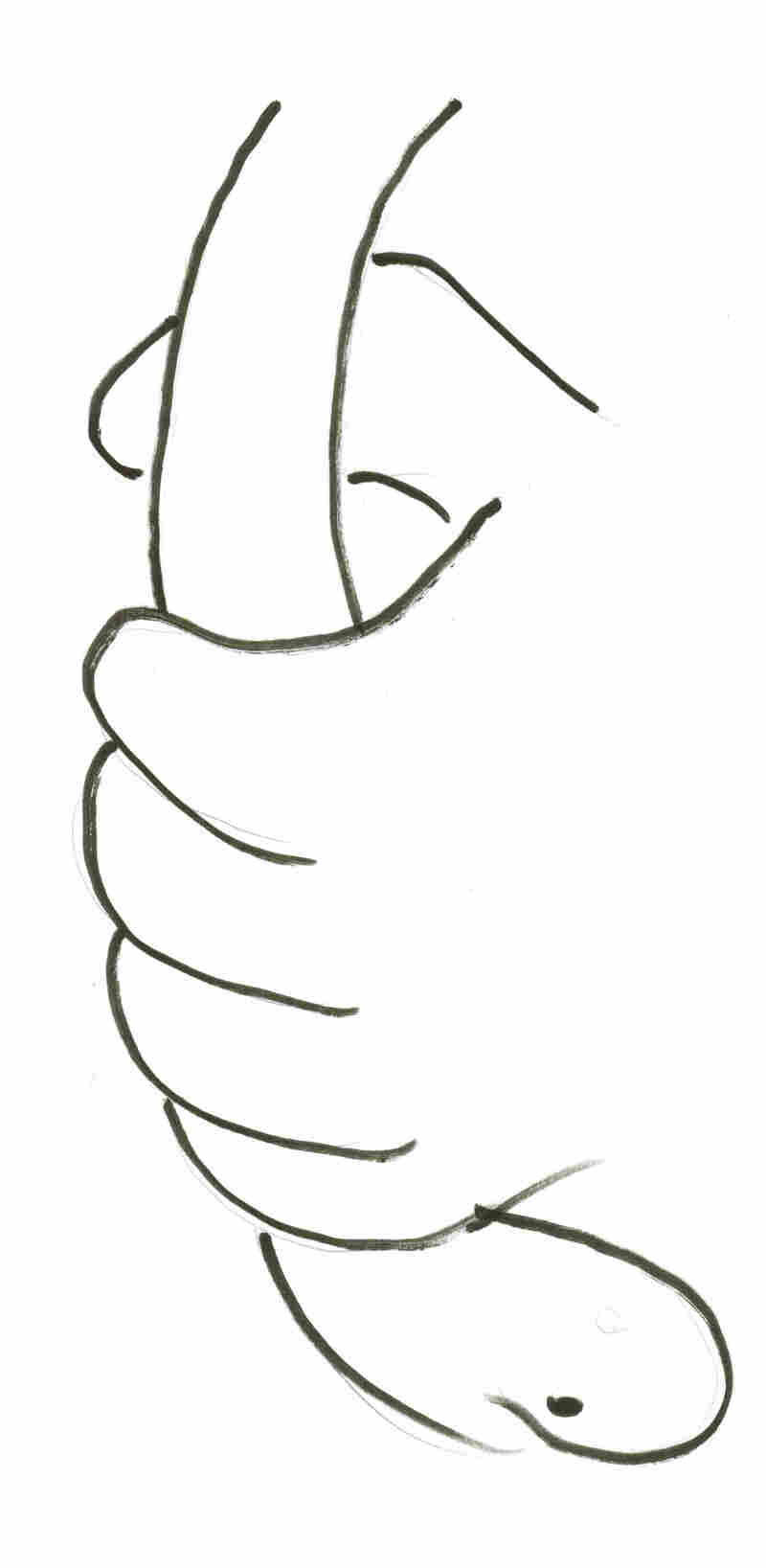 Man holding a snake.