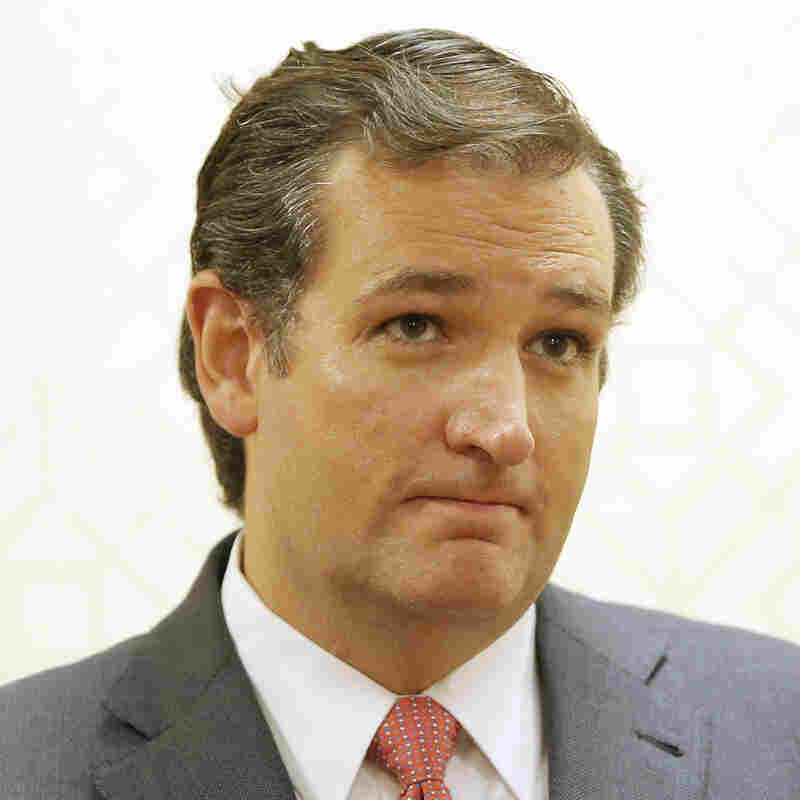 Sen. Ted Cruz, R-Texas, speaks Aug. 20 at a Dallas press conference.