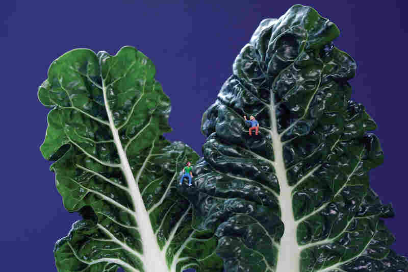 Swiss Chard Couple: "Grace and Kat bonded over their mutual love of high places."