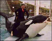 Cal Worthington poses with Shamu during one of his trademark used-car commercials.
