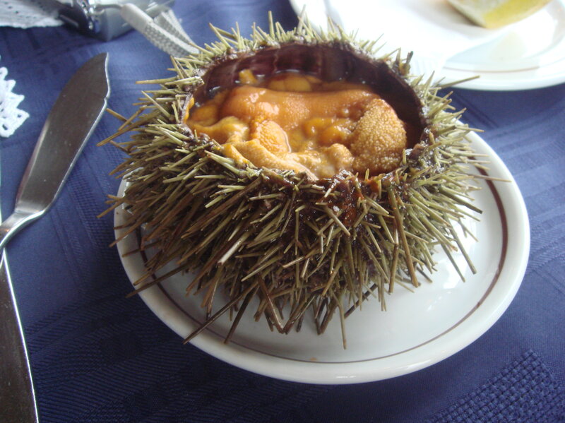raising tastier sea urchins