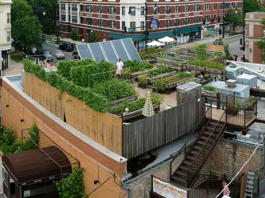 Rooftop Farm
