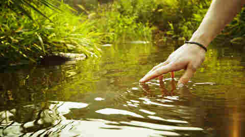 Every species has its own important role in maintaining nature's balance.