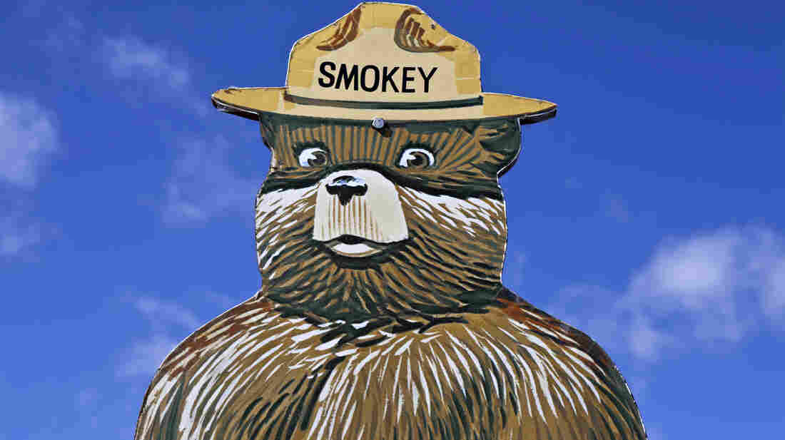 Smokey Bear fire prevention messages might not always be the best thing for forests.