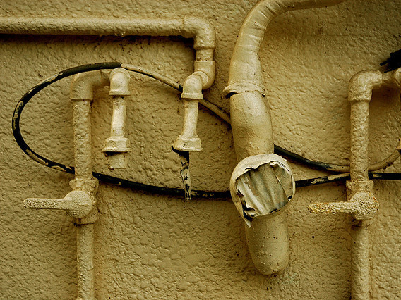  (Flickr)