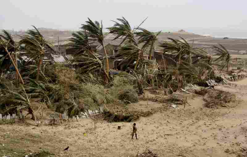 A woman returns to the cyclone-hit Arjipalli village on the Bay of Bengal coast in Orissa state, India, on Sunday. The state's Chief Minister Naveen Patnaik says that a full recovery will be a "big challenge."