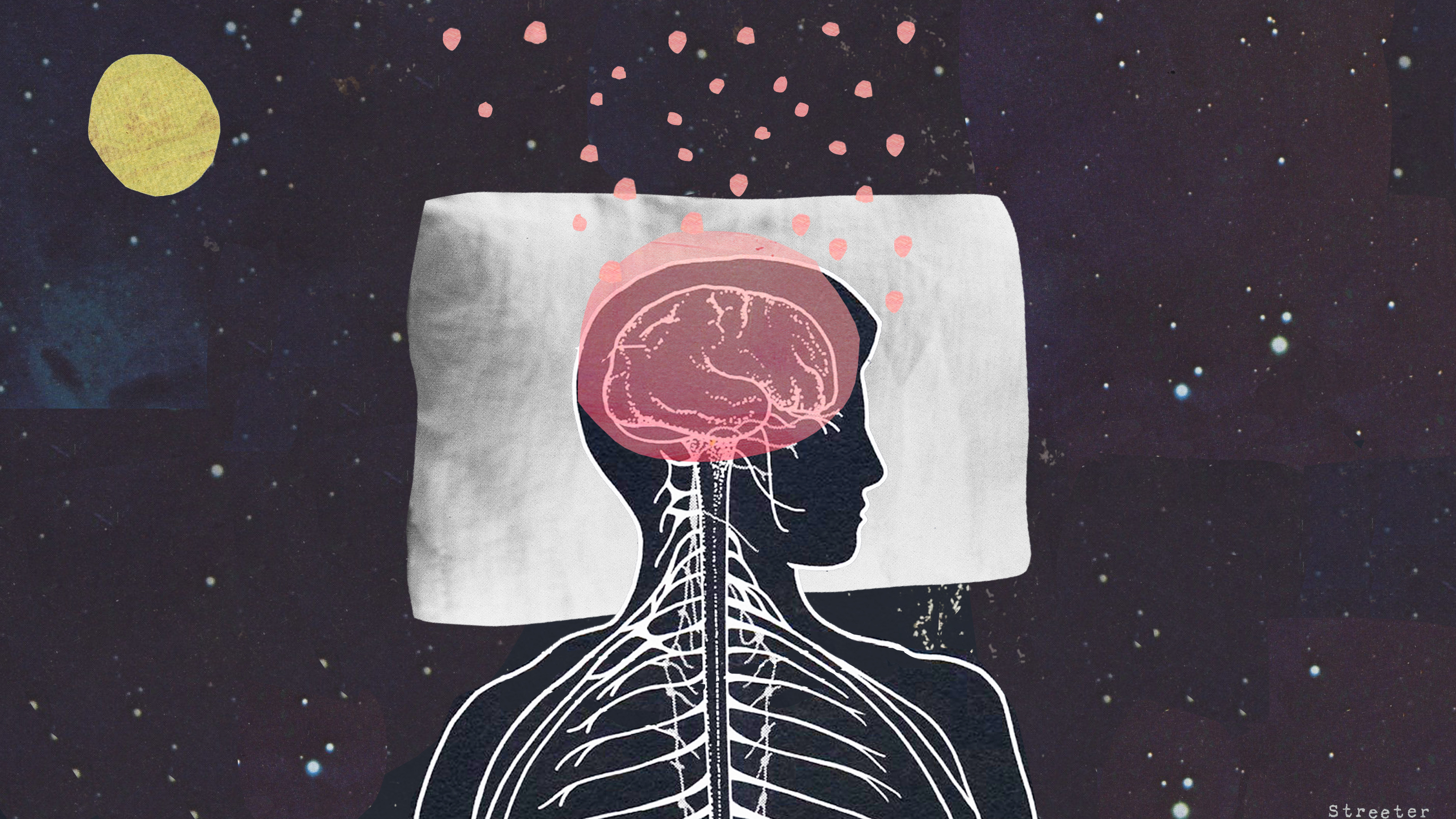 What do our brains do while we sleep?