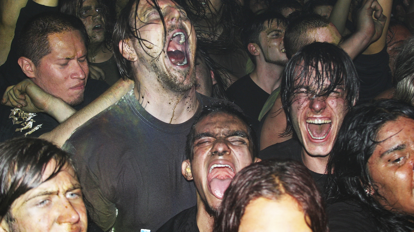 The People Have Spoken Concerts Are Too Loud All Songs Considered NPR