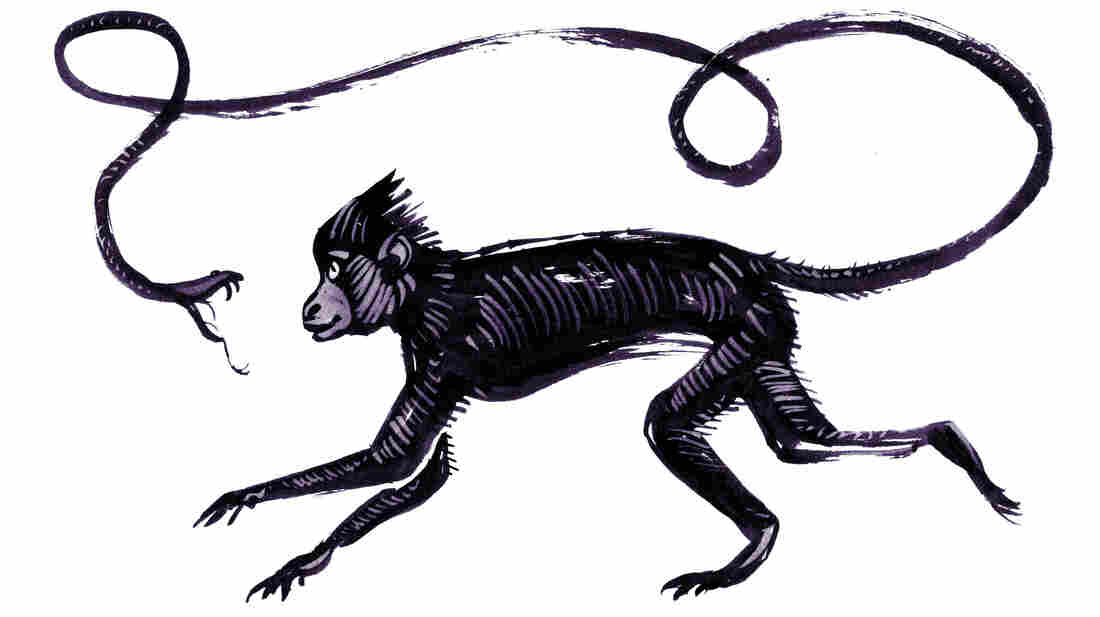 Illustration by Daniel Horowitz