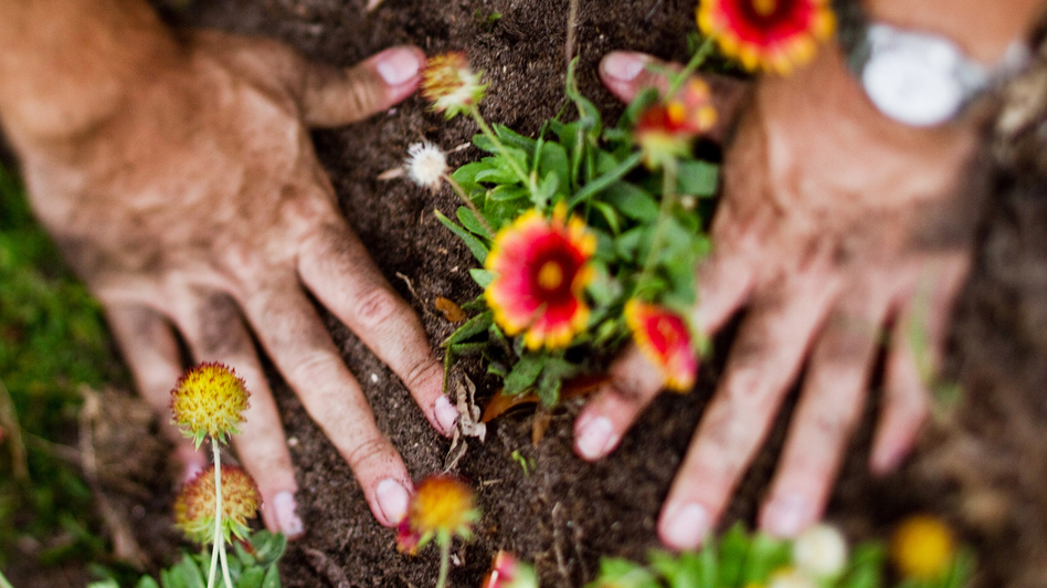 Spiffing up the garden may also make your cardiovascular risk profile look better, too. (Lauren Mitchell/Flickr)