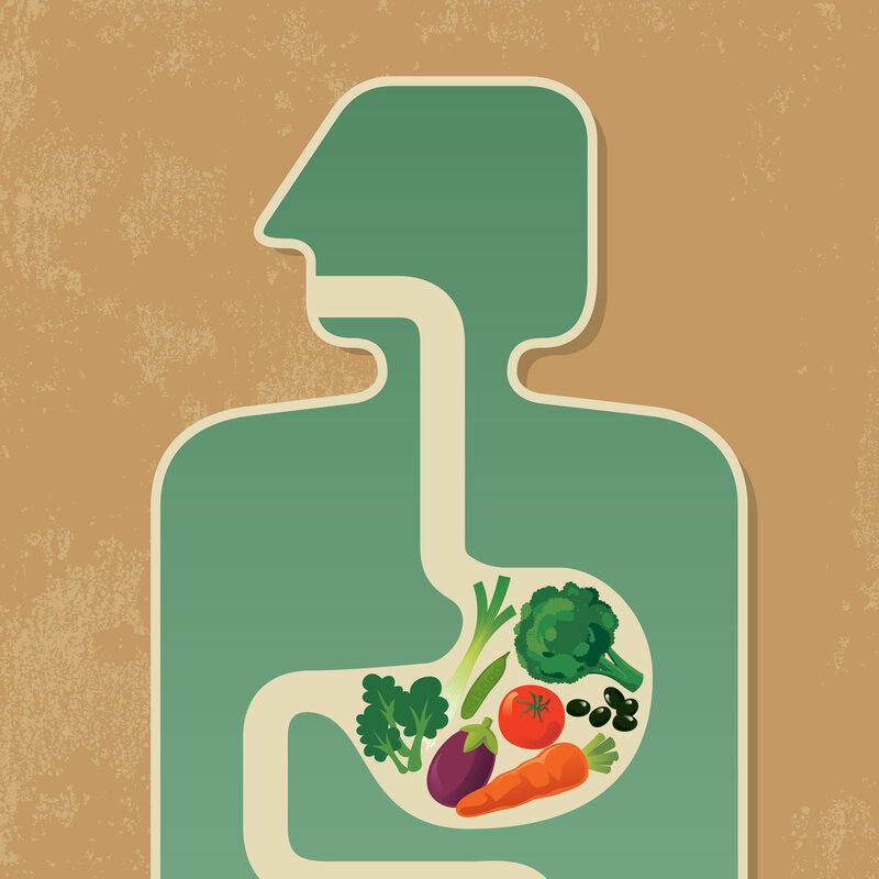 Gut Bacteria Might Guide Workings Of >> Gut Bacteria Might Guide The Workings Of Our Minds Shots Health Gut Bacteria Might Guide Workings Of >> Gut Bacteria Might Guide The Workings Of Our Minds Shots Health