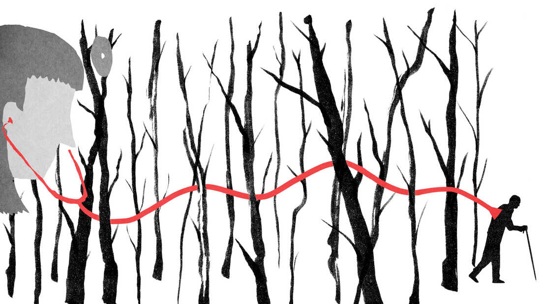 Illustration by Daniel Horowitz for NPR