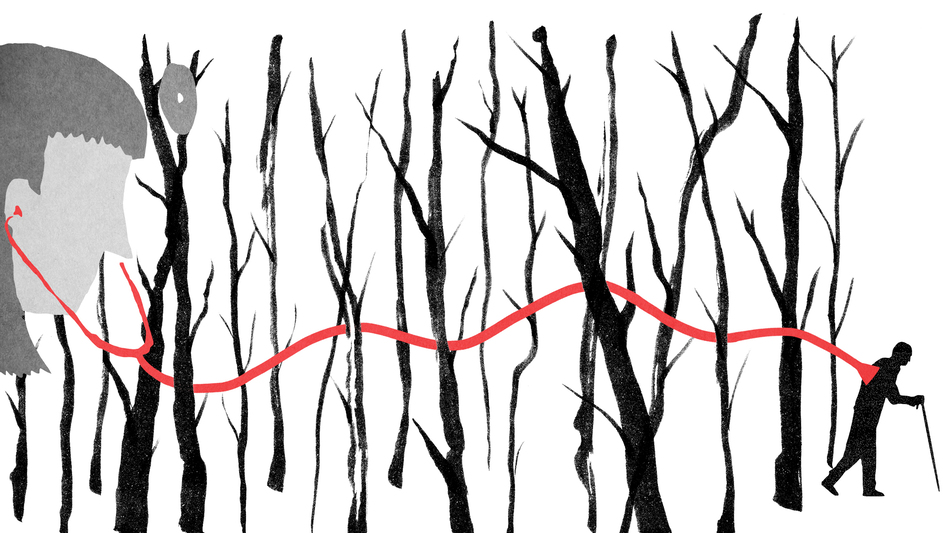 (Illustration by Daniel Horowitz for NPR)