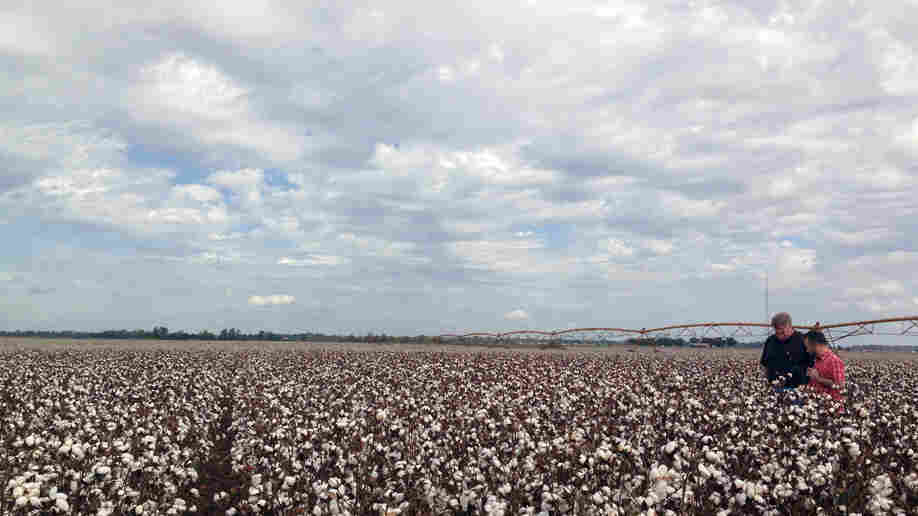 Fields