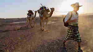 Around The World In ... A Lot Of Steps