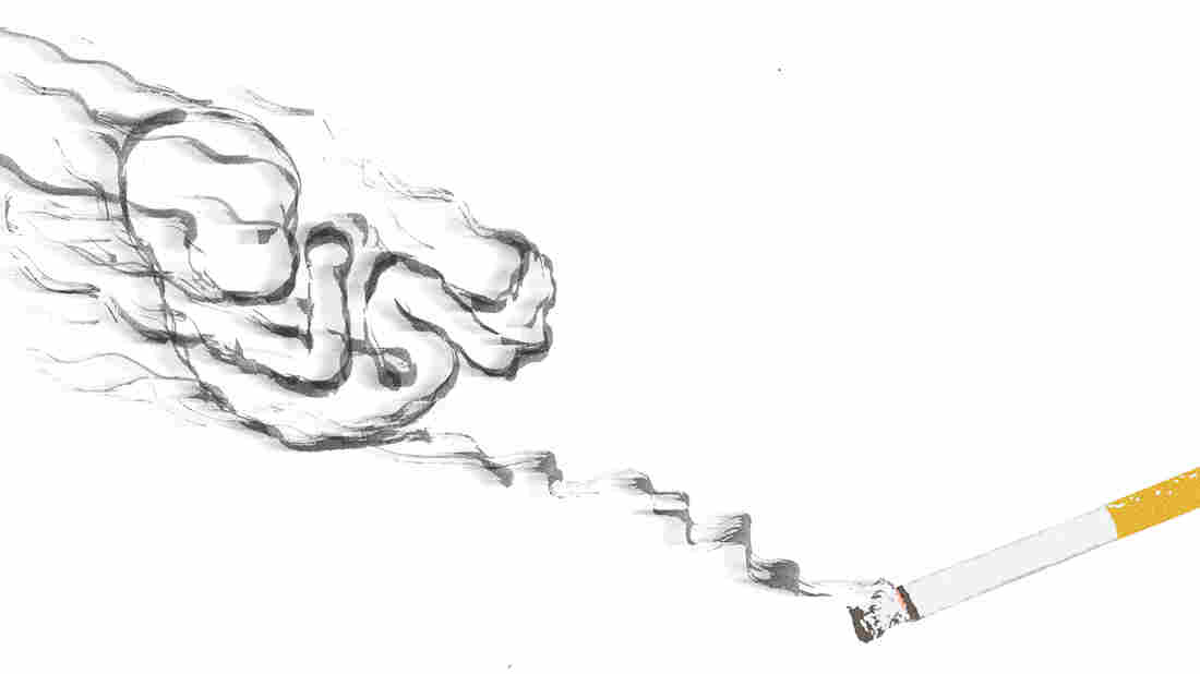 Illustration2 by Daniel Horowitz for NPR