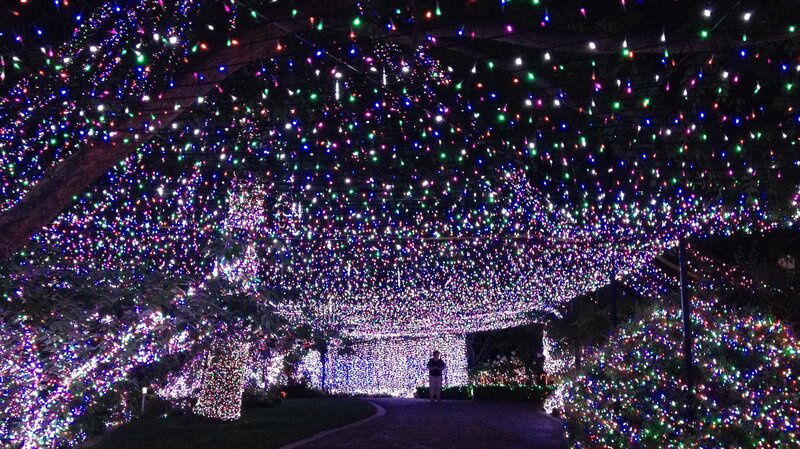 500 000 Lights Family S Christmas Display Sets New World Record Christmas Display Sets New World Record