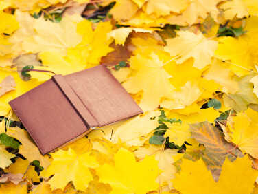 opened book lying in yellow leaves