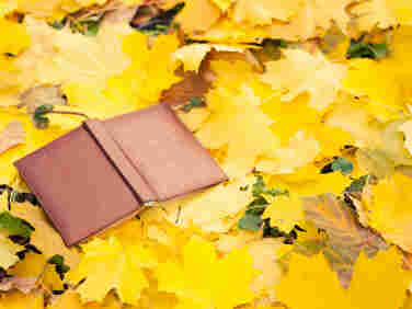 opened book lying in yellow leaves