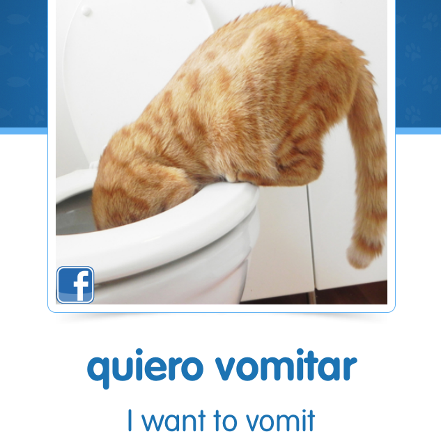 I Can Haz Spanish Lessons Cat Pictures Now Have A Purpose WBUR