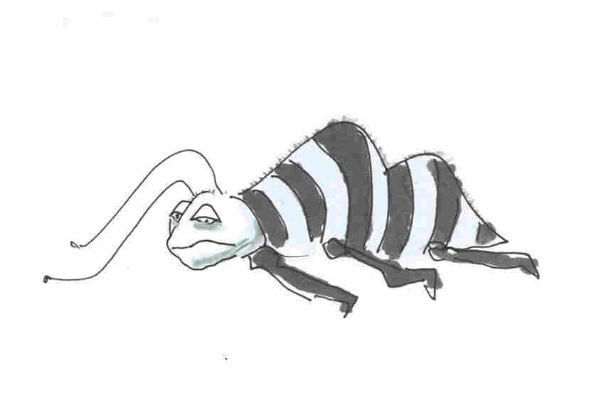 Krulwich5