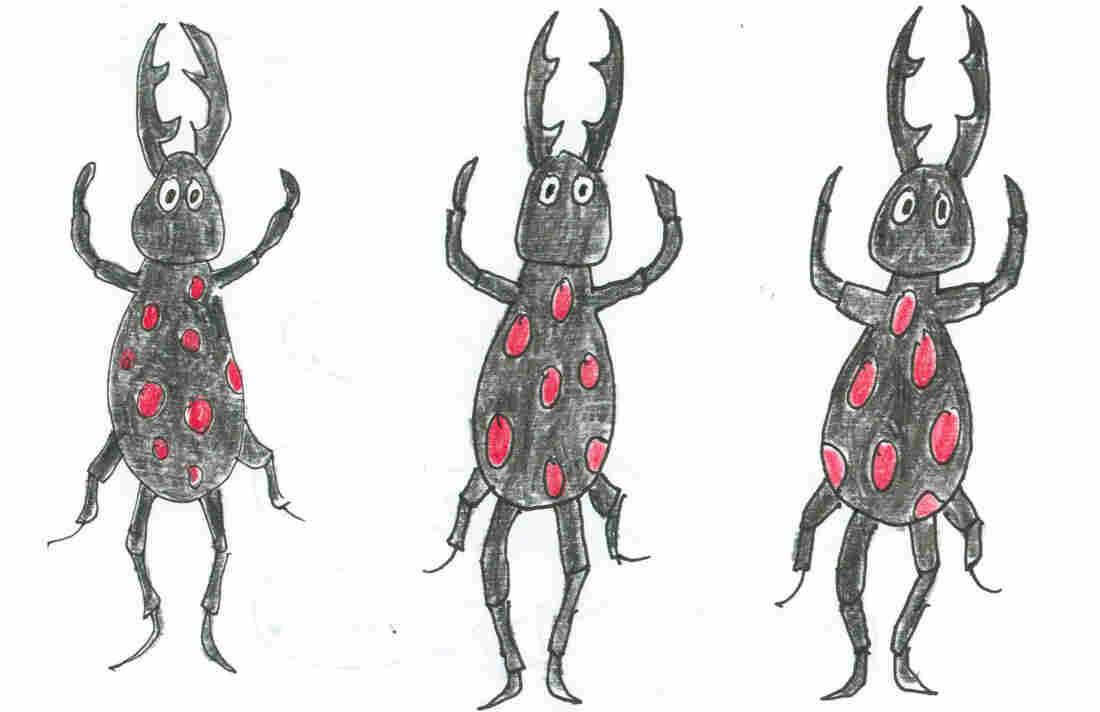 Three bugs