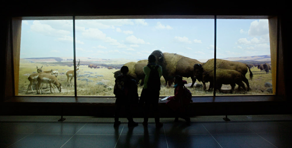 In The Background: Art You May Never Notice 9 Visitors to the American Museum of Natural History look at a diorama for which Scherer painted the background decades prior.