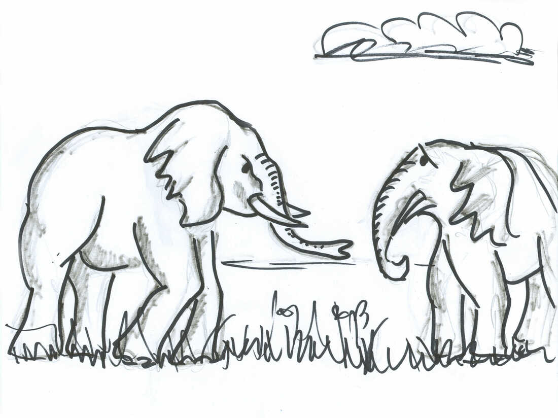 Rambunctious young elephant cowers before elder bull elephant.