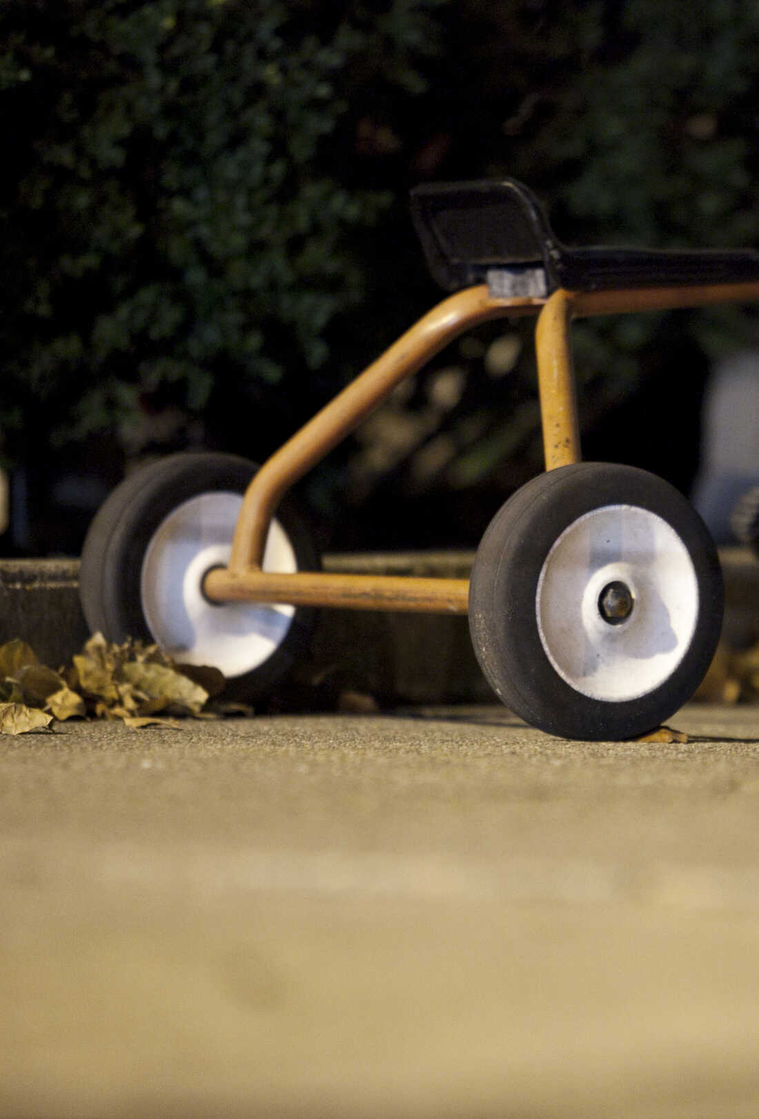 Tricycle.