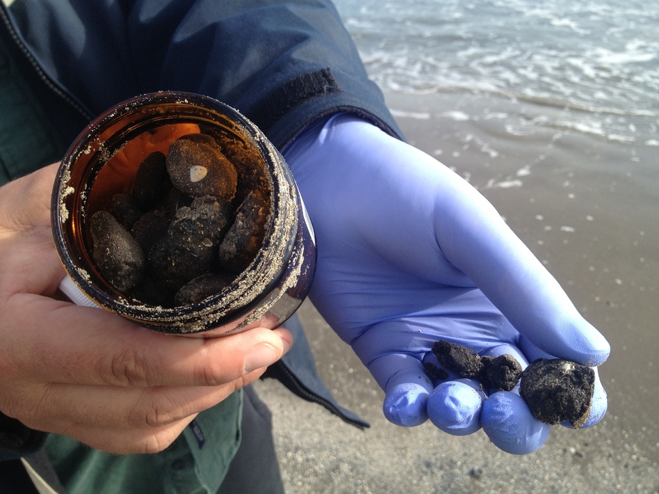 Jonathan Henderson of the Gulf Restoration Network holds a jar of tar balls. (Debbie Elliott/NPR)