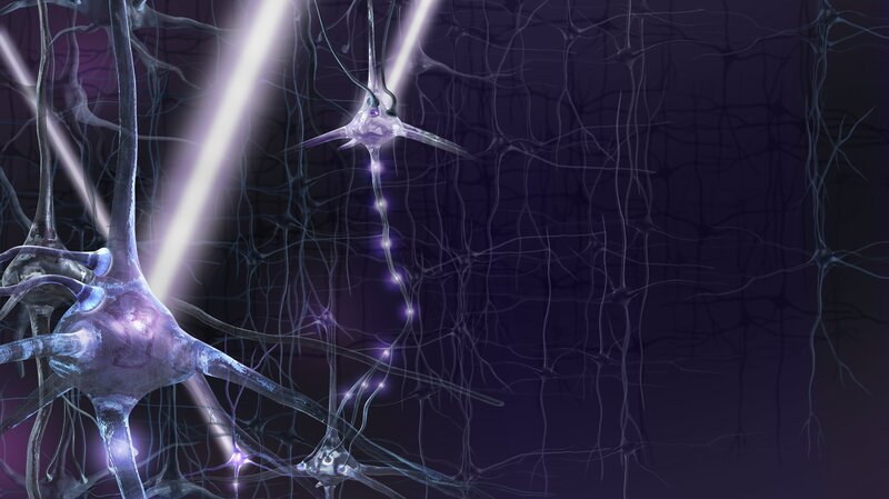 If Genes Dont Turn Off Brains Wiring >> Experimental Tool Uses Light To Tweak The Living Brain Shots If Genes Dont Turn Off Brains Wiring >> Experimental Tool Uses Light To Tweak The Living Brain Shots