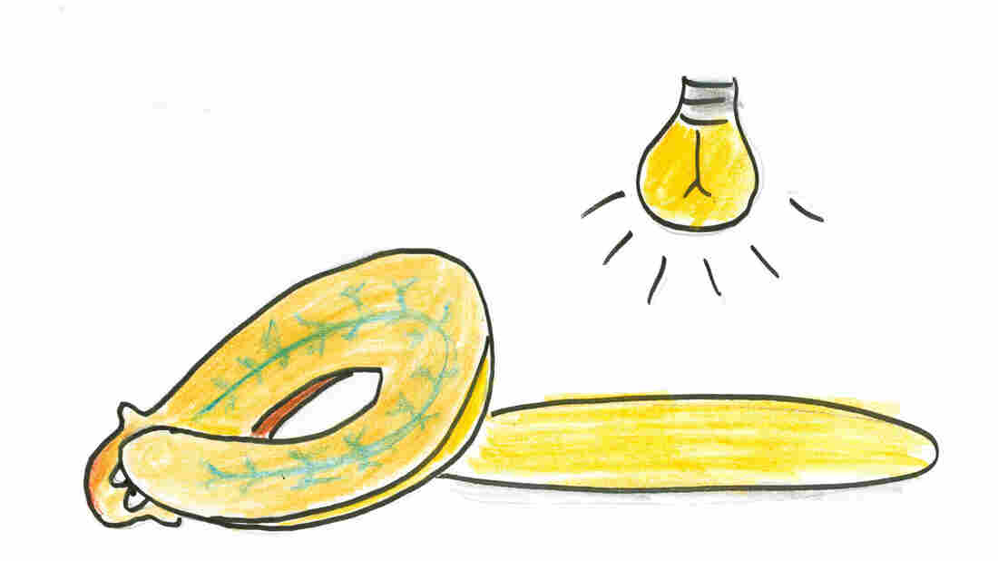 Planarians don't like light.