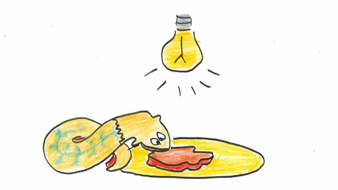 Planarian grows back a new head and remembers he is not afraid of light.