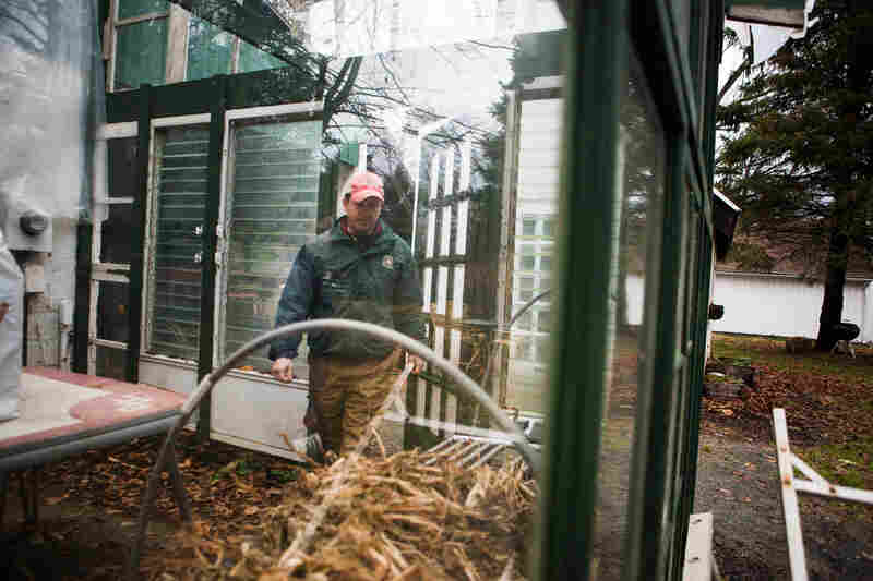 Guerre built this greenhouse out of recycled materials like old windows and doors.