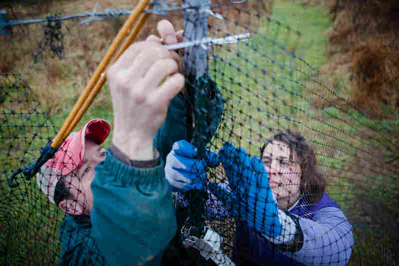 Chris and Sara work together to repair a section of fence that protects the crops from deer.