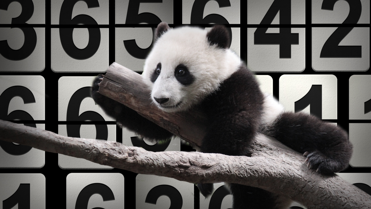 Year pandas. Year pandas